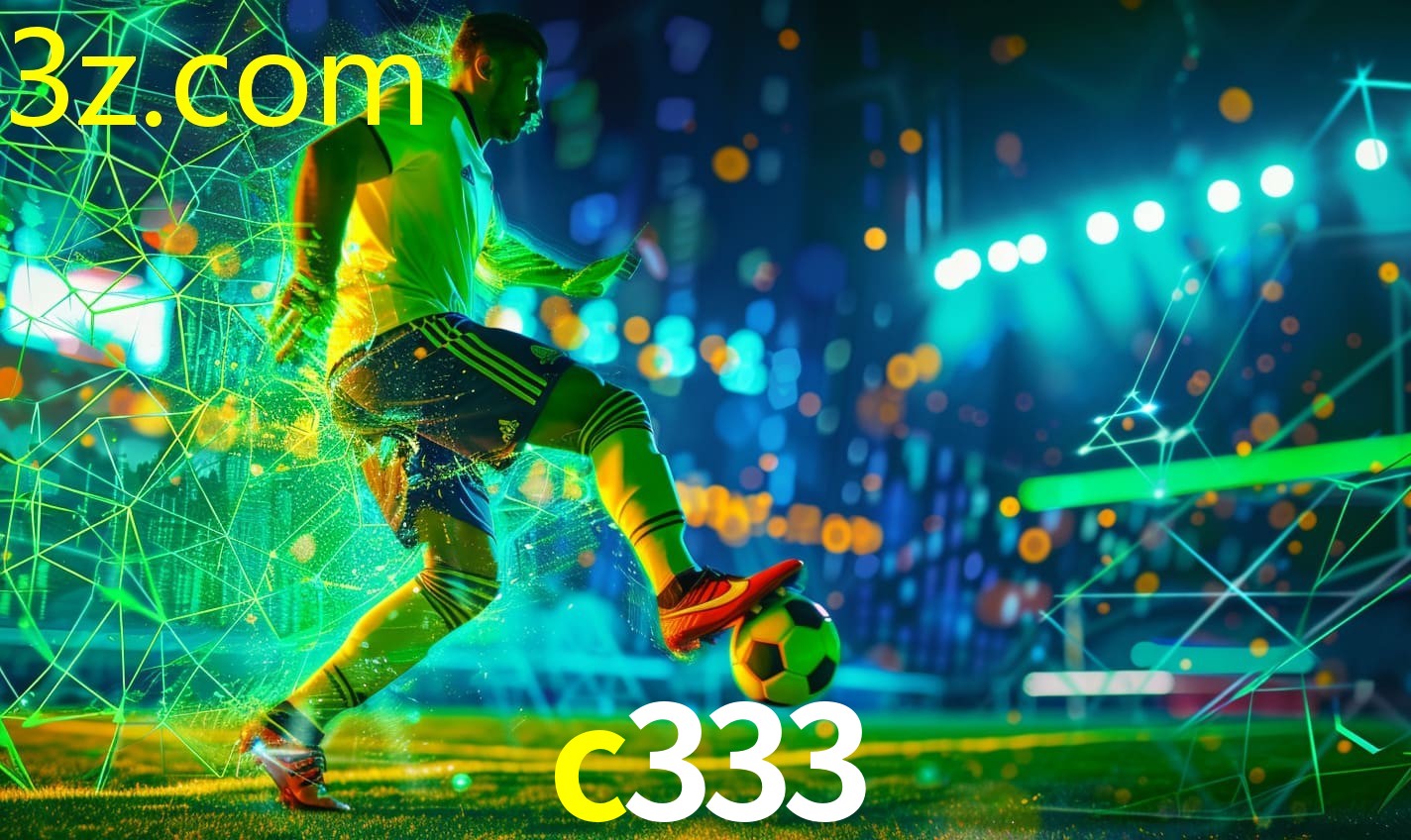 C333